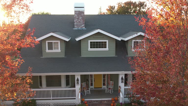Professional Roofing in Pahoa, HI
