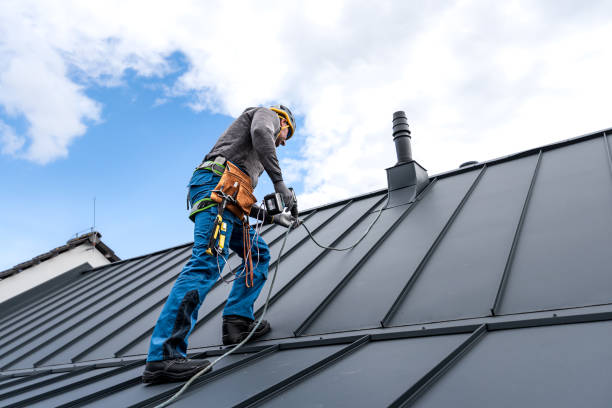 Best Roof Coating and Sealing  in Pahoa, HI